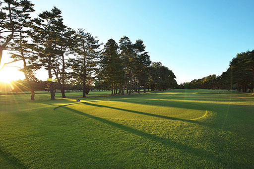 日本迷你高尔夫球场,日本百佳高尔夫俱乐部在哪里