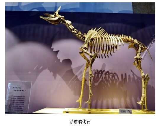 人类是真的经过设计的吗,大胆的推测