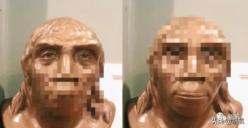 宁静和郑希怡对比,郑希怡和宁静对比