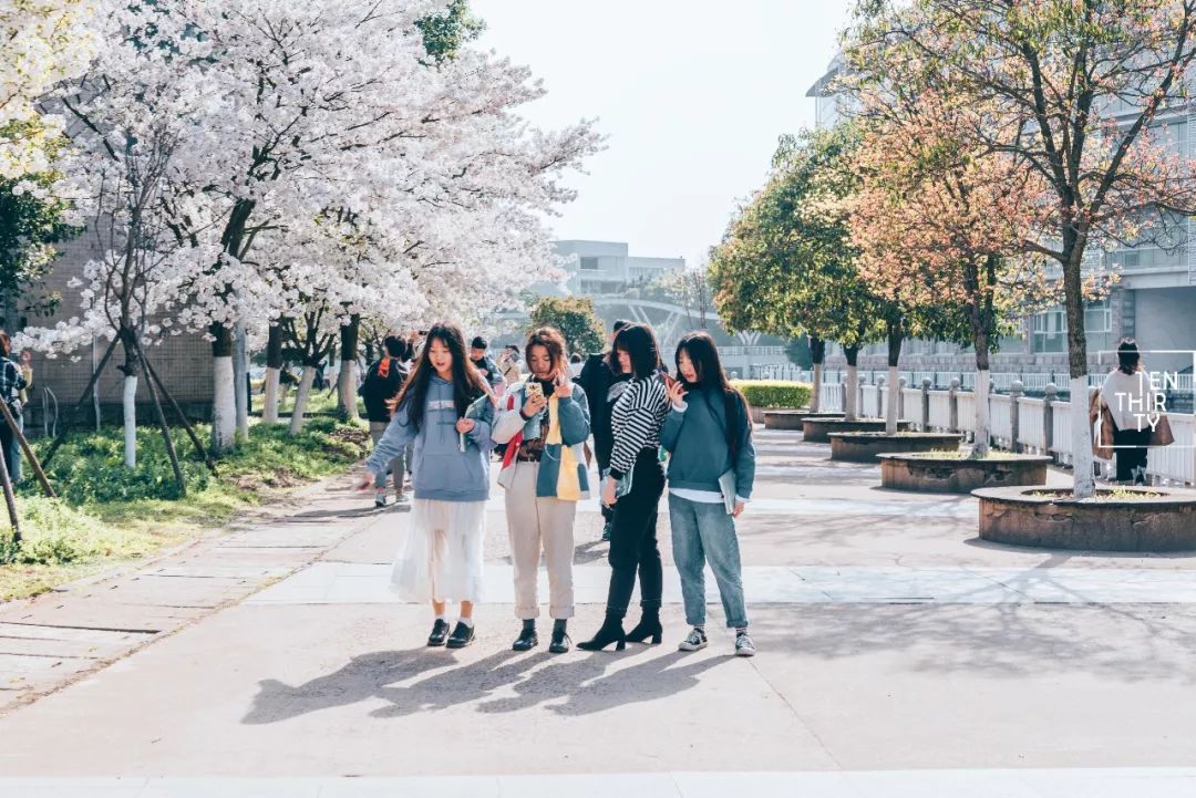 湖北经济学院为什么叫藏龙岛,湖北经济学院在江夏藏龙岛吗