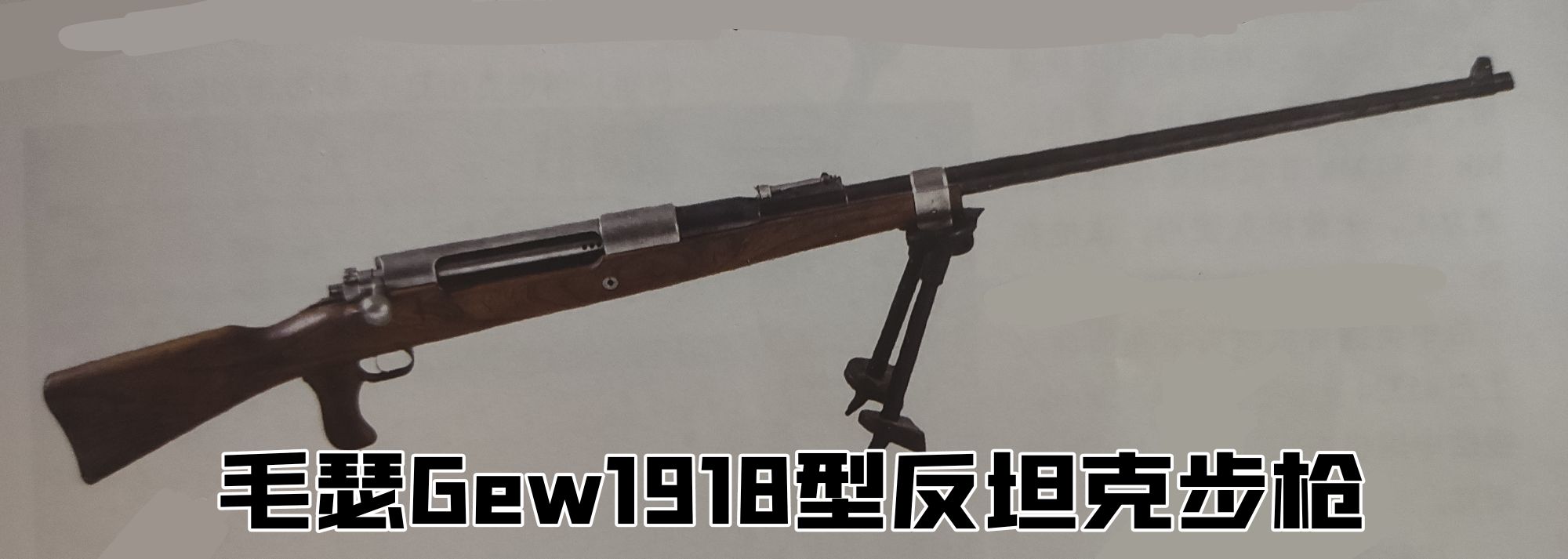英国枪史图册全篇,德国枪图片