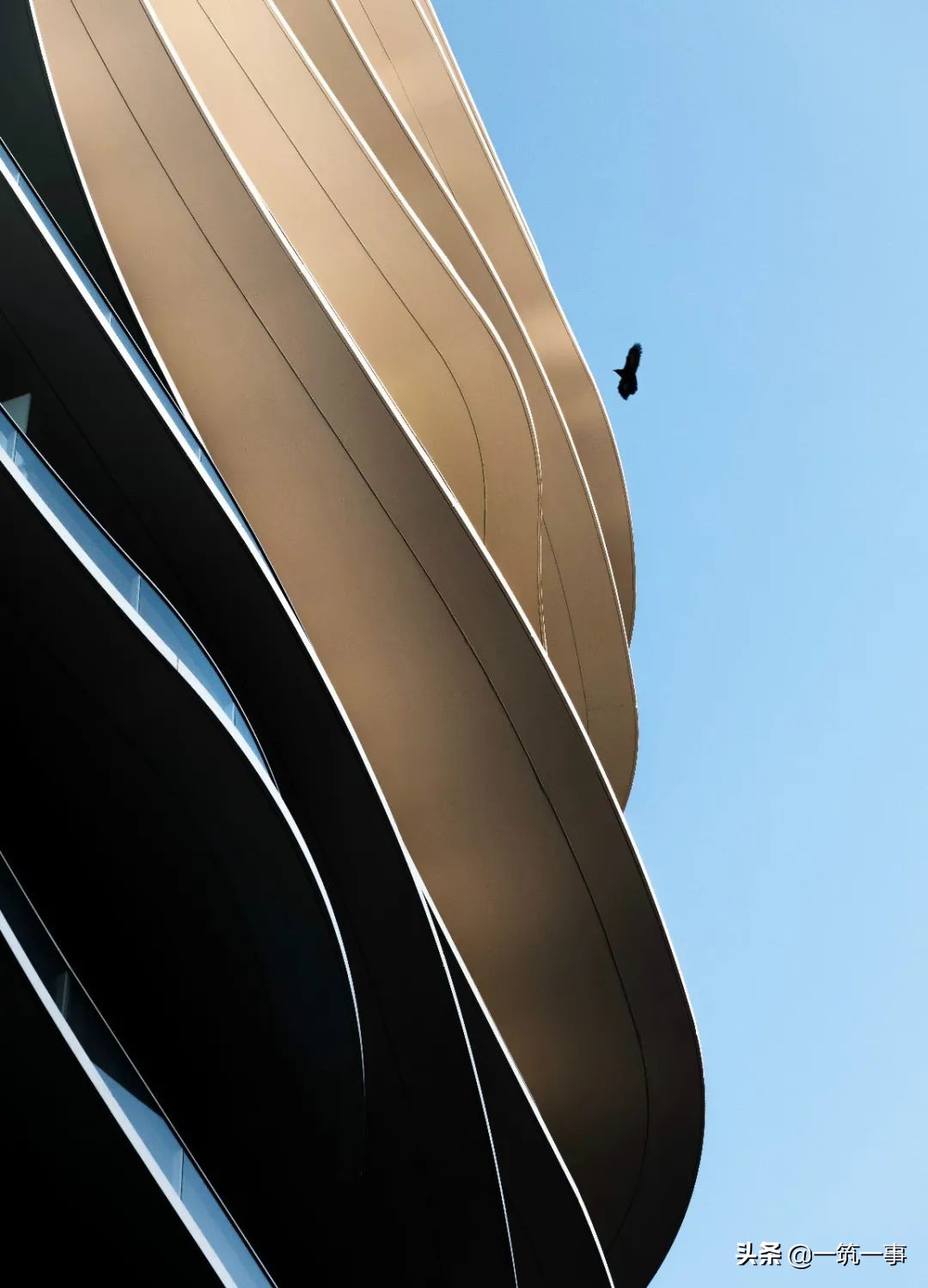 摄影12人组,成都拍人像摄影的大神