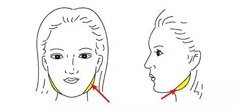下颌角和方脸的关系,下颌角的标准图四方脸