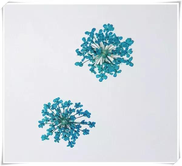 水晶耳环自制,滴胶耳环制作法