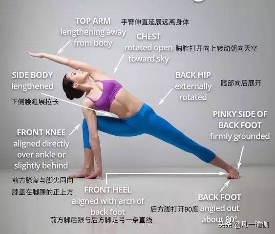 瑜伽练习的基本原则,瑜伽之光讲的什么