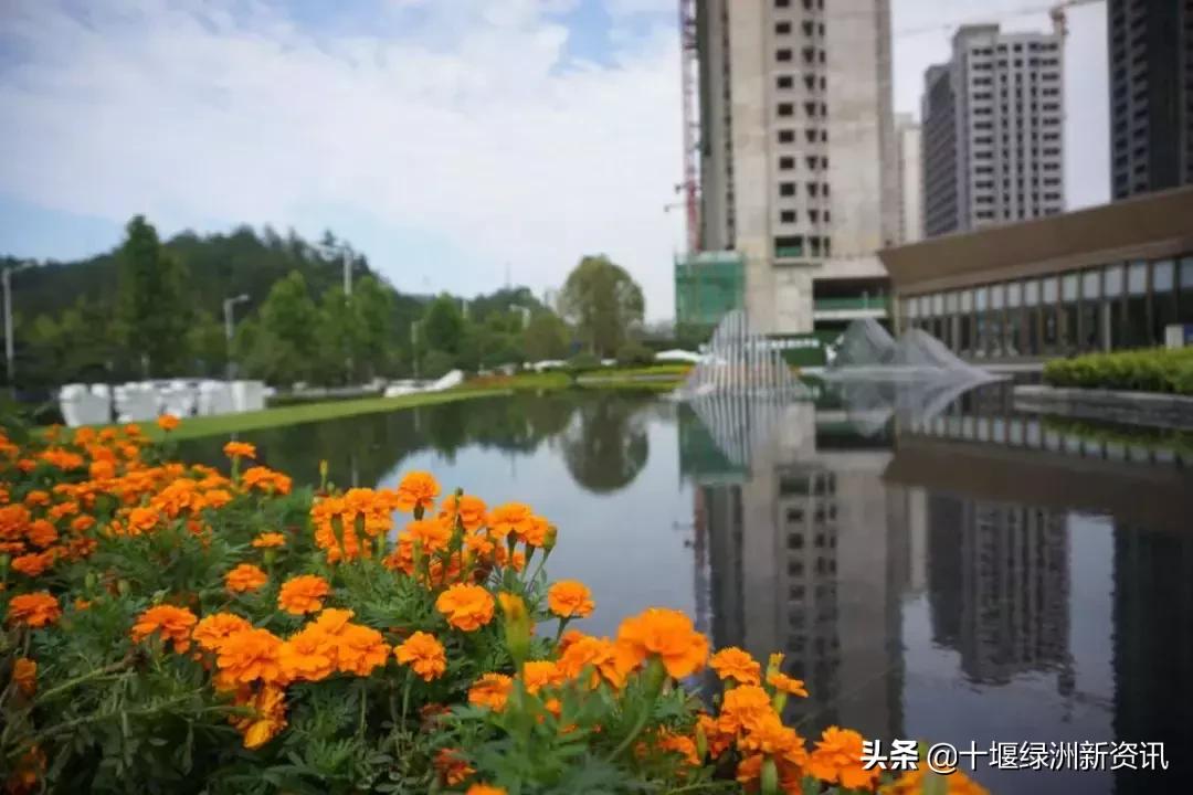 国瑞阳光物业有限公司怎么样,记录国瑞阳光物业