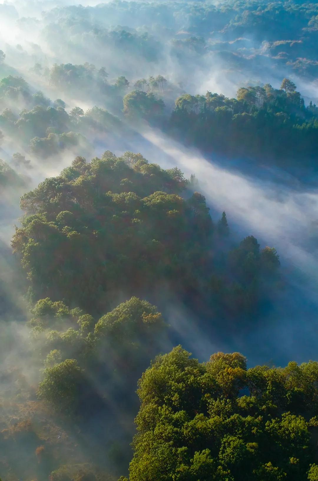 腾冲地热火山门票,腾冲的地热资源