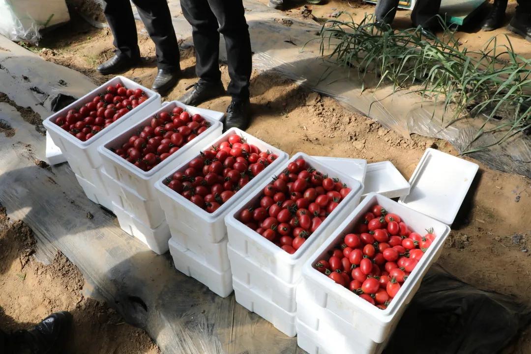 锦州市促进就业创业政策,返乡入乡创业创新政策宣传周