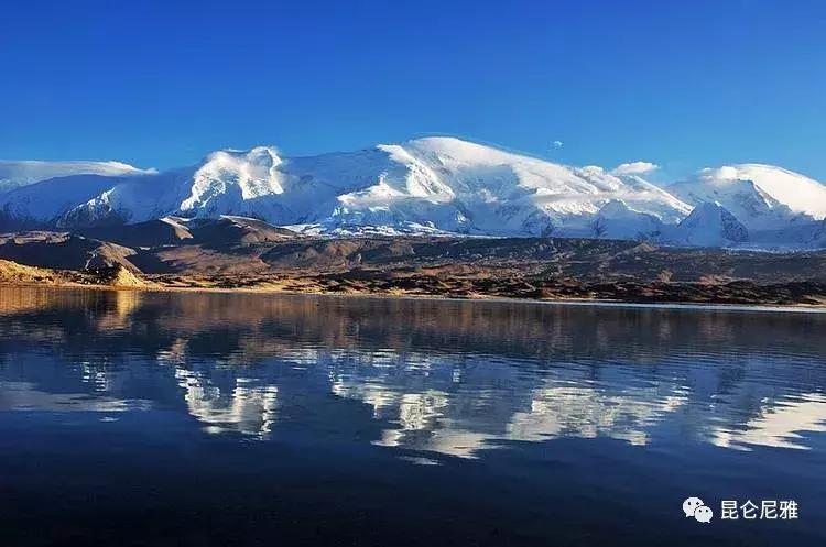 尼雅黑鸡是土鸡吗,尼雅黑鸡苗乌鲁木齐哪里售卖