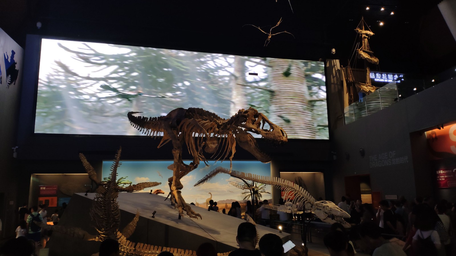 海洋博物馆带孩子游玩攻略,国家海洋博物馆最全攻略来了