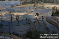 元阳是个美丽的地方,元阳是美丽城市吗