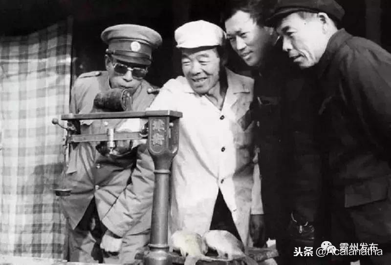 霸州土产公司老照片,霸州老城区图片