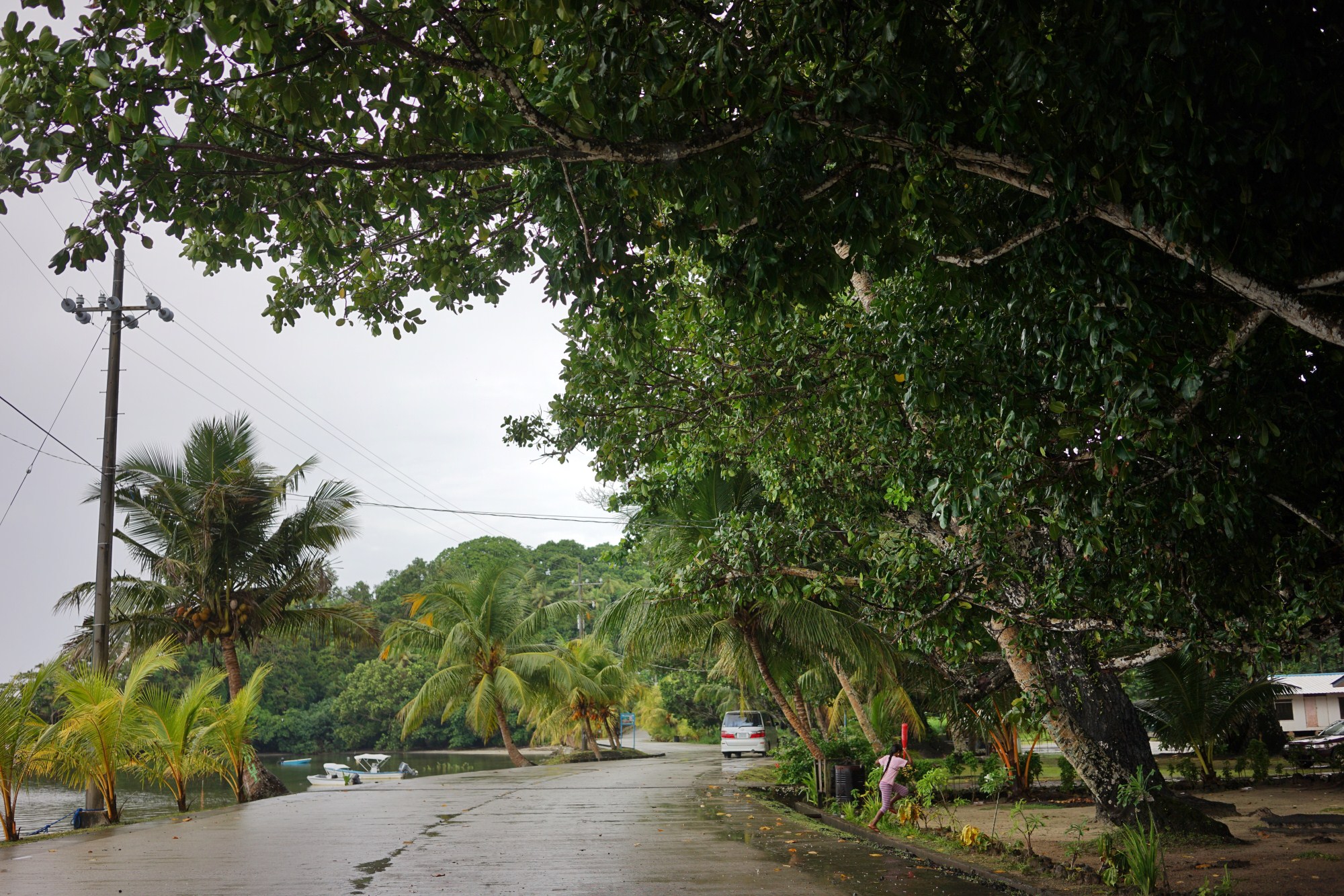一定是特别的缘分——帕劳，再遇见「周若雪Patty」·上