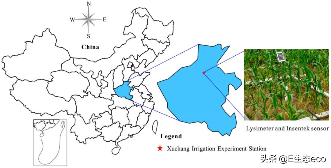 《Water》最新中国高水平论文：一种新型测算玉米日耗水量的方法