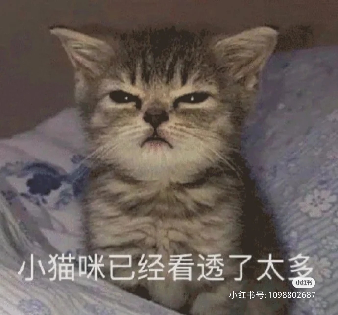 「对家•娘子」两脚兽观察实录