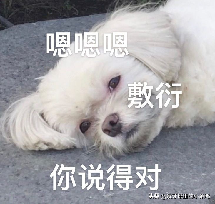 还在纠结选哪个公司,怎么选择快递公司发快递更快