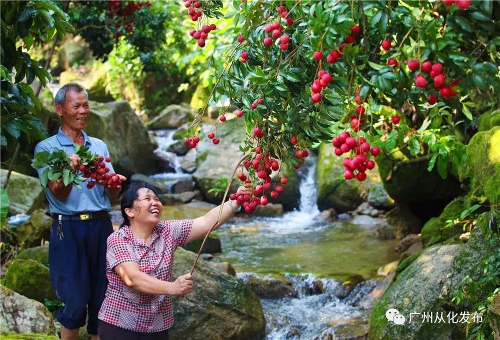 宜居宜业旅游攻略,广州从化的宜居小镇