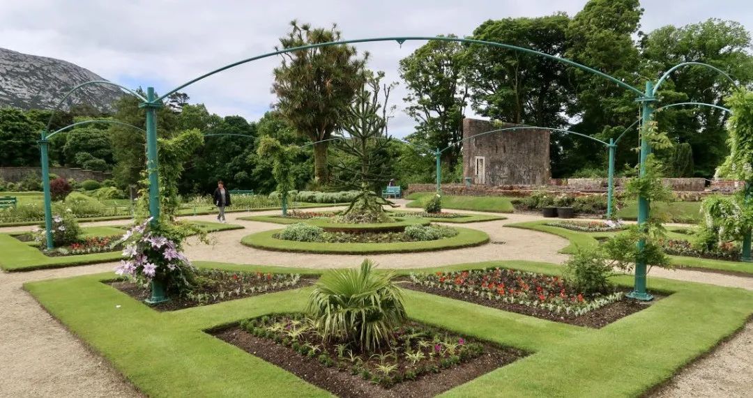 飞鸟越过珊瑚海,飞鸟越过山林