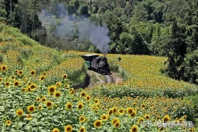 山西太原未来5年发展方向,太原什么行业有发展前景