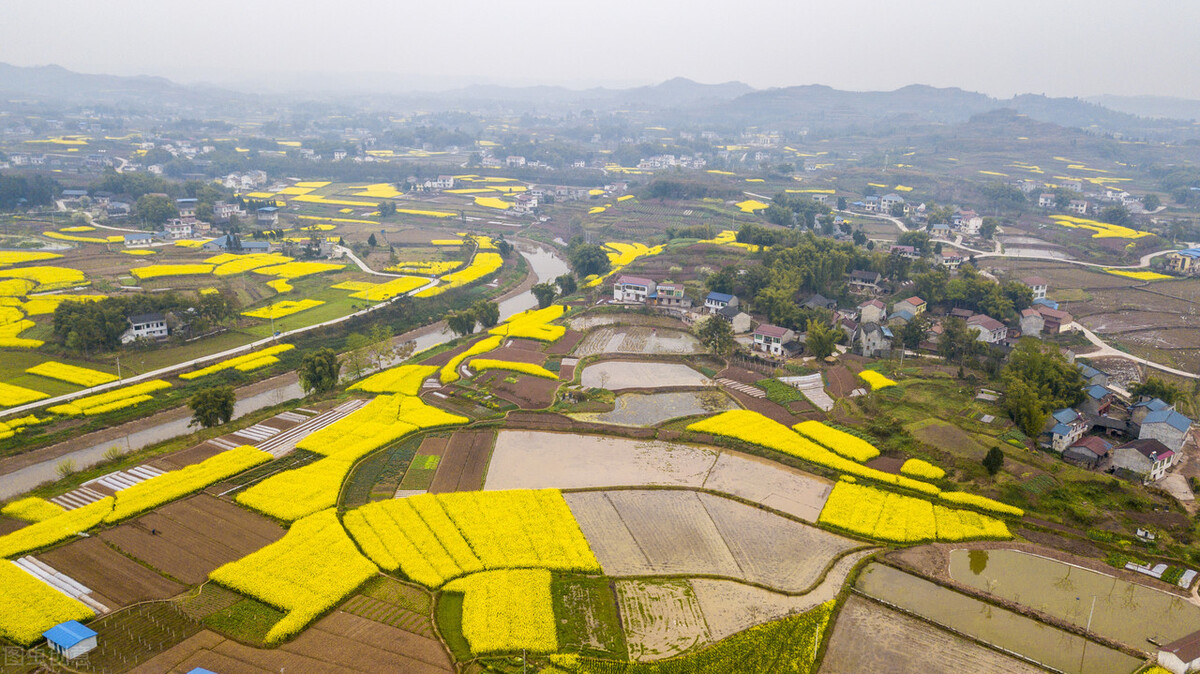 读书|品韩诗|新定义:折得东风第一枝;新创作:万紫千红总是春