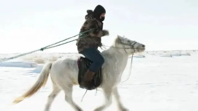 马背上的“代购员”真帅