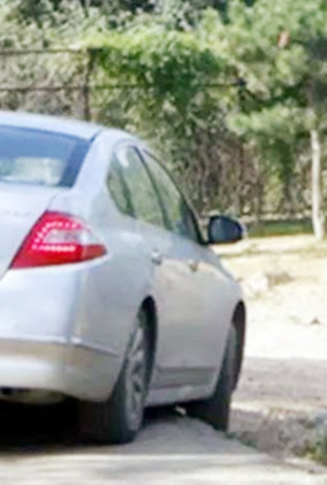 老虎咬死人事件真相,八达岭老虎咬游客事件