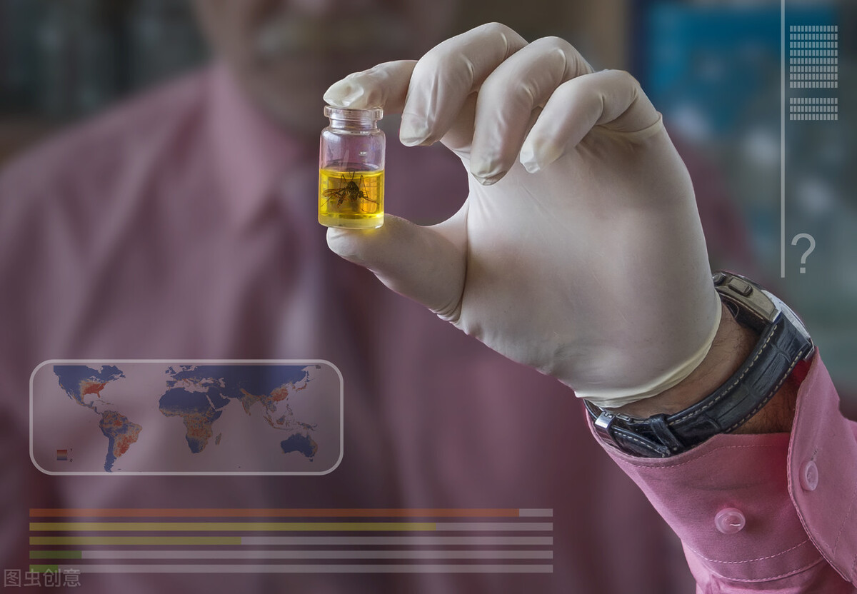 世界上的蚊子全部消失是怎样的,世界唯一没有蚊子的地区