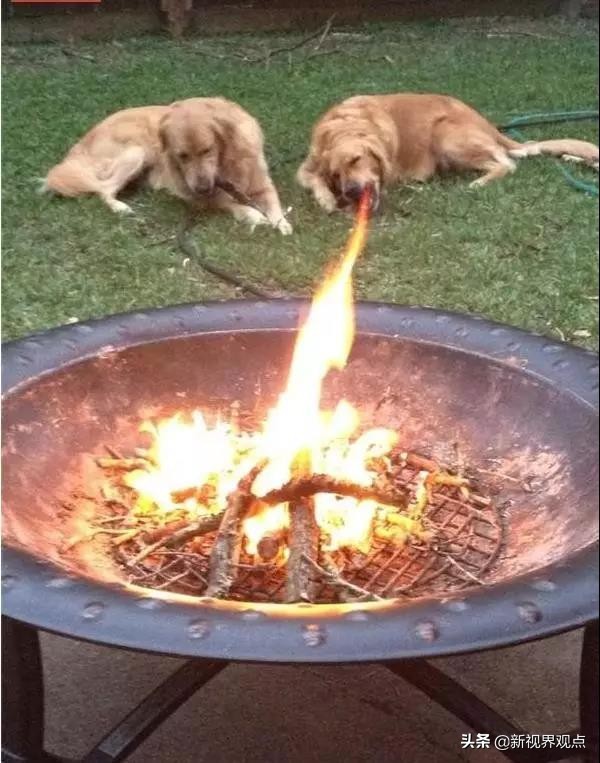 神奇的视觉错位图30张,神奇的错位照片