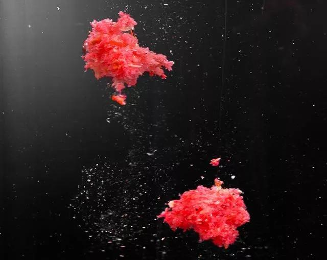 标准的两个钩的距离是多远,1.5到2个钩距是多少厘米