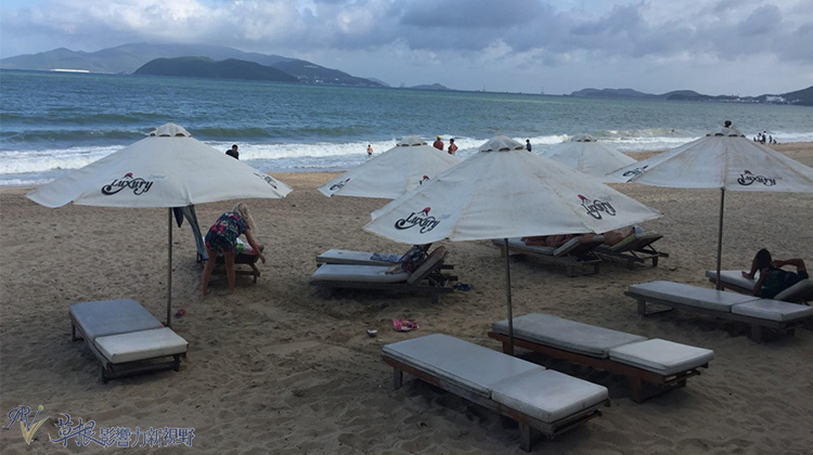 瓒婂崡鑺藉簞娴锋哗鏅尯瑙嗛,瓒婂崡鑺藉簞榛戝矝娴锋哗