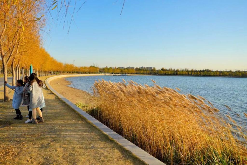 郑州象湖冬天图片,郑州象湖航拍视频