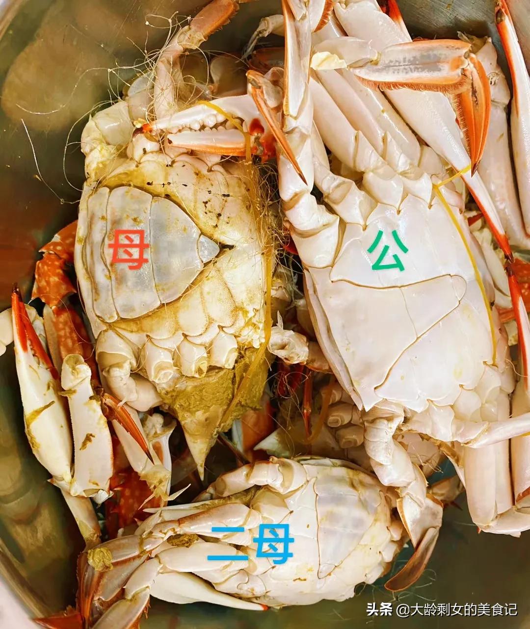 挑梭子蟹技巧干货,教你一招挑肥梭子蟹