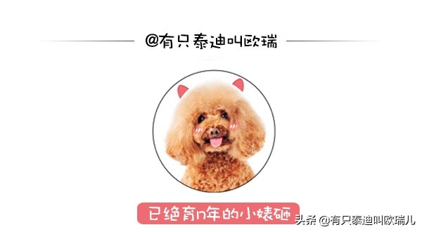 3米蟒蛇脱皮,3米巨蟒