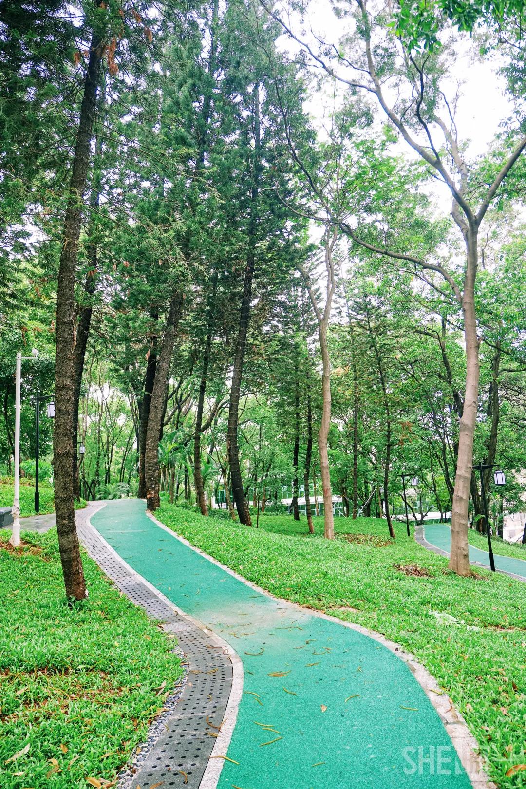 深圳八大绝美公园,山水公园深圳