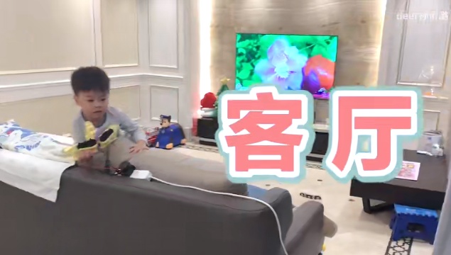 孙侨潞去世前住所曝光，衣帽间全是奢侈品，月租3万养好几只宠物