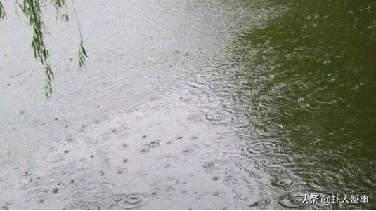 南美白对虾池塘急性倒藻如何处理,池塘倒藻引起氨氮升高怎么处理