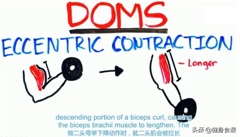 为什么练了不发力没有训练痕迹,为什么练完没有力但是不累