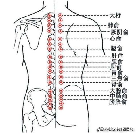 拔火罐的历史故事,拔火罐的真相揭秘