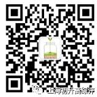 上海闵行区民办双语学校,闵行区上闵外学校排名