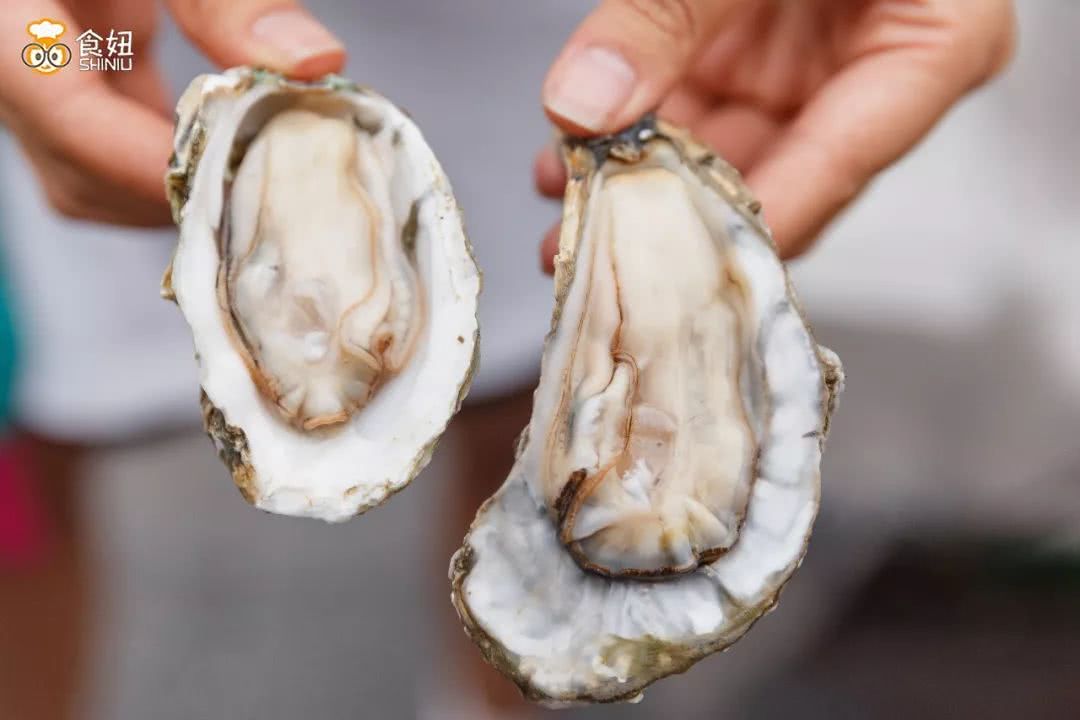 游击队吃生蚝视频,游击队烤生蚝