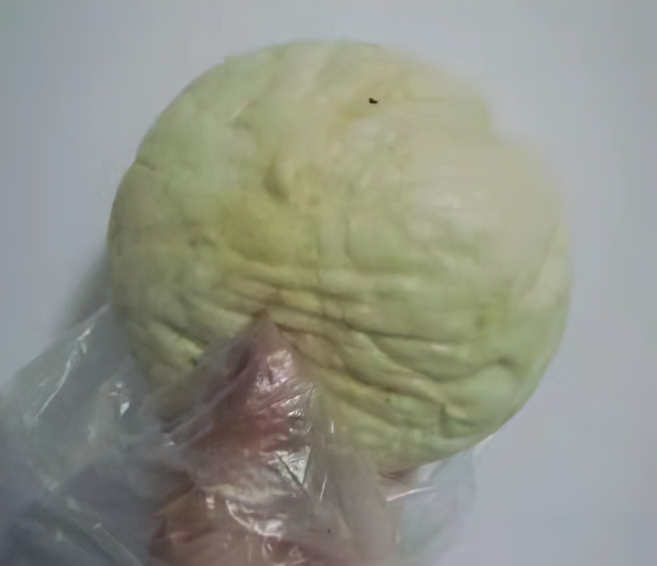 无锡市鸿运大包价格,真正的无锡鸿运大包地址