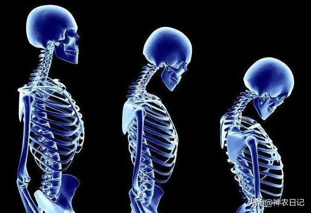 男人的风骨是什么,女人的凤骨有什么好处