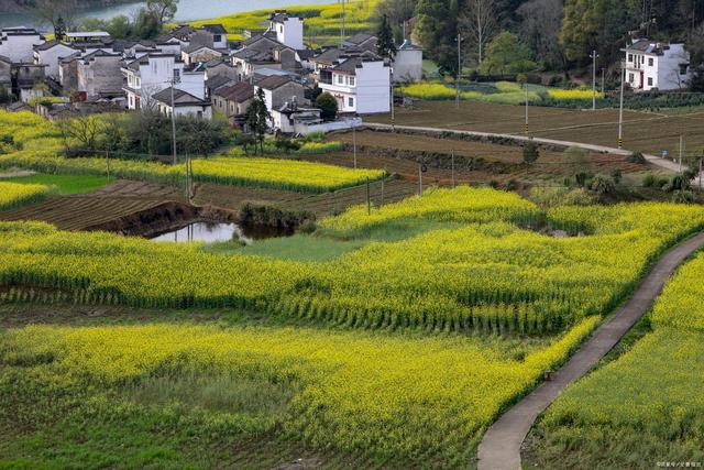 乔迁新居要不要请亲戚朋友,搬新家开伙这天亲戚能来家里吗