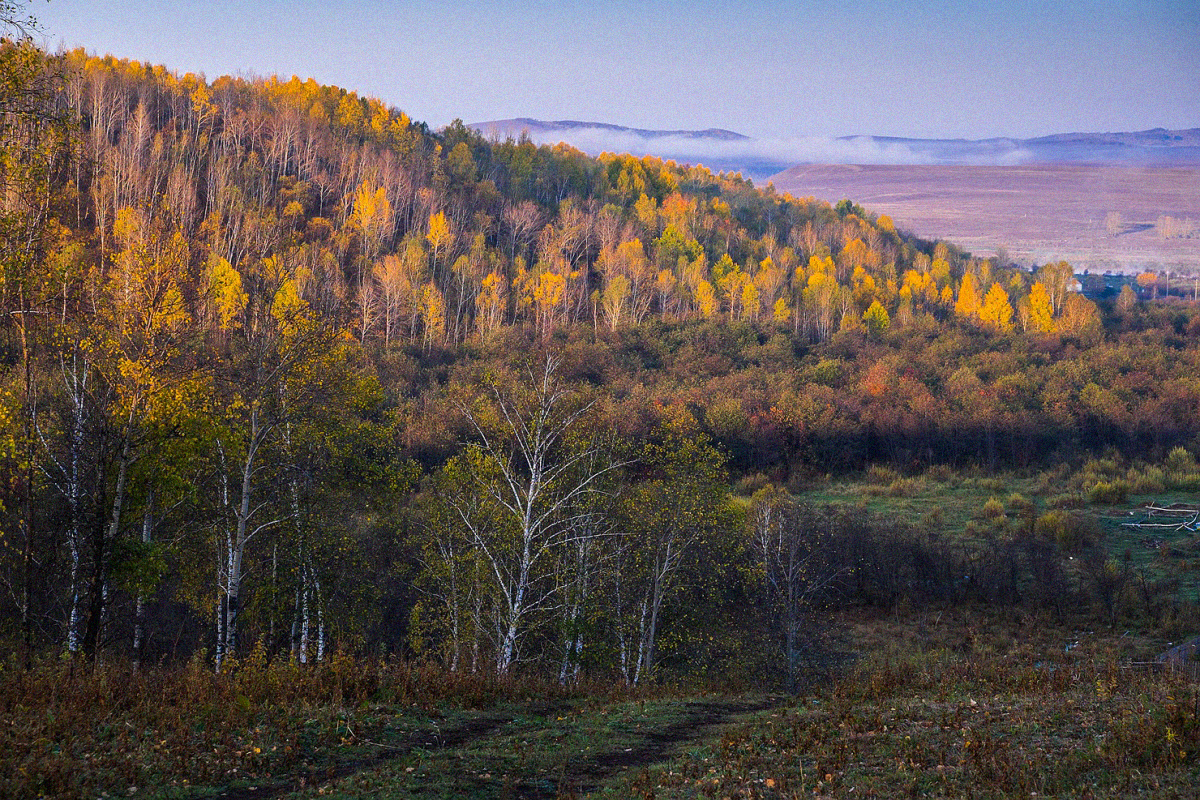 中国大部分区域在北回归线以北,中国的北方有哪些省