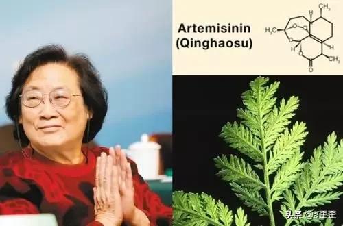 历史治过瘟疫的医生,中国历史瘟疫治疗第一人