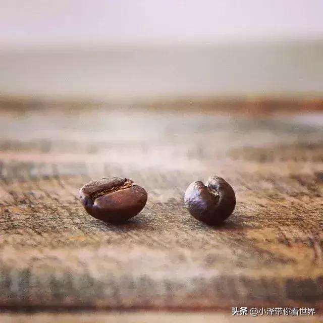 印度尼西亚猫屎咖啡工厂,印度尼西亚正宗猫屎咖啡价格