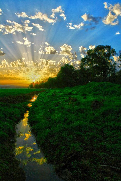 窗户东边开,健康自然来。不看不知道,一看必记牢