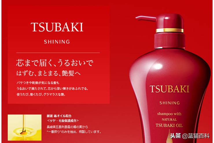 八款经典洗发水推荐,十大经典洗发水