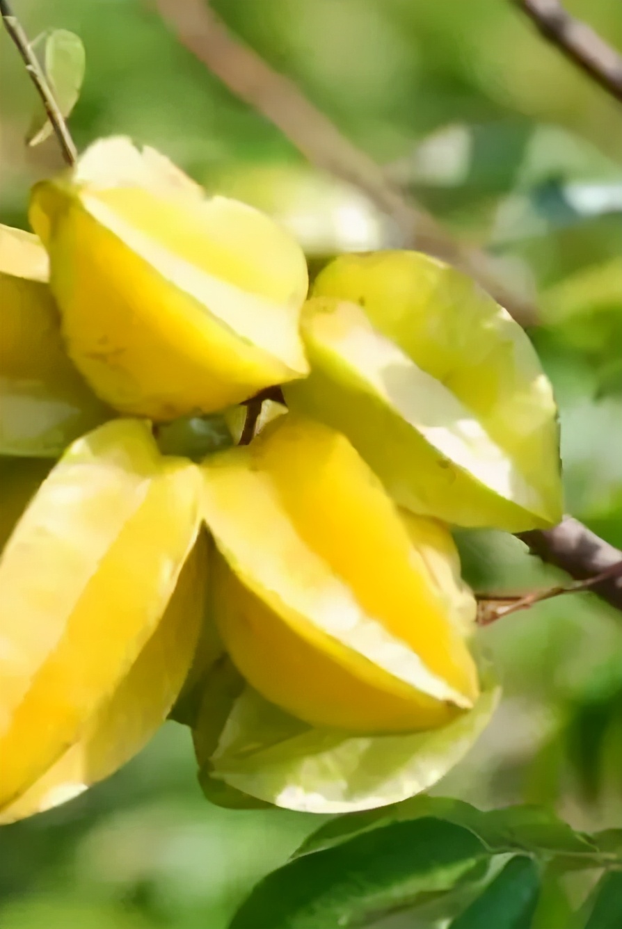 当丰收节遇上中秋节,当中秋节遇上教师节美食
