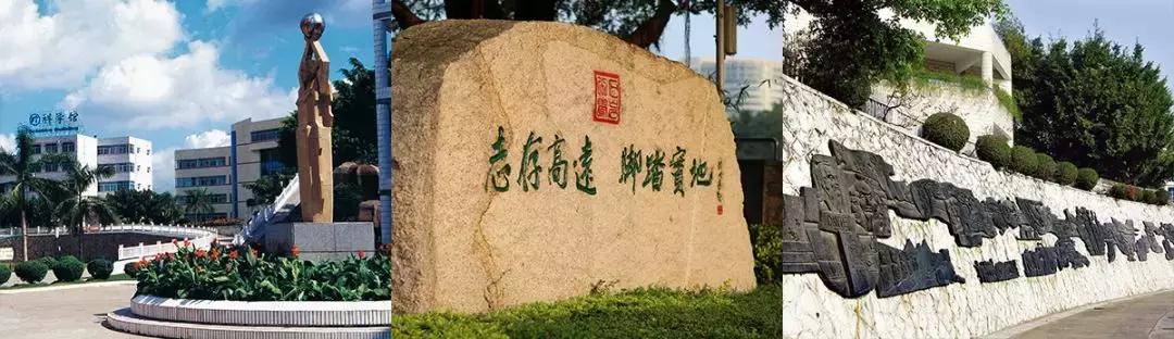 深圳ib国际学校排行榜,深圳市石岩公学ib国际部